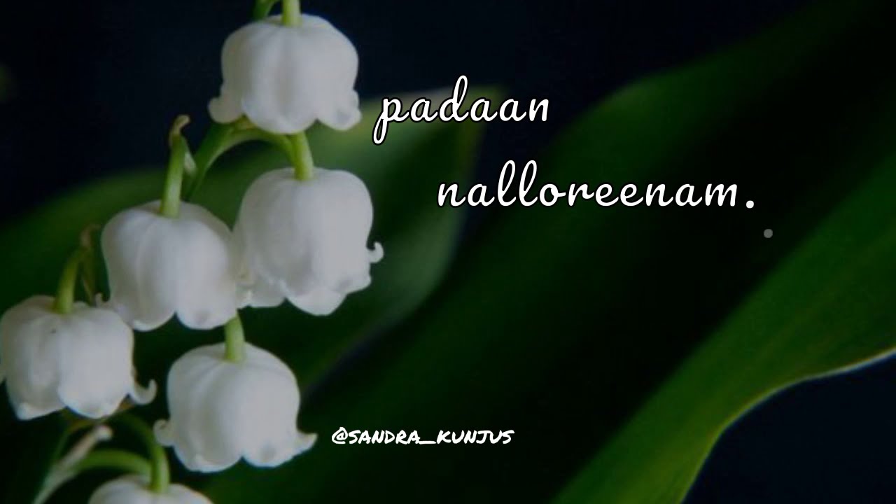 Paadan nalloreenam nee malayalam lyrical whatsapp status