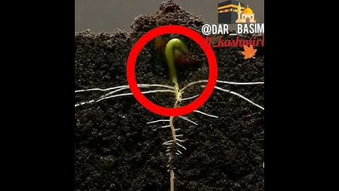 Tanda tanda kebesaran allah