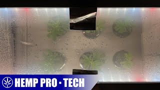 How to Build a Basic Hydroponic Bubble Cloner