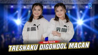 FILLA TALIA - TRESNAKU DIGONDOL MACAN FT. NEW ARISTA (Official Music Video)