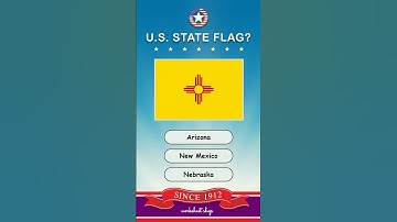 Guess the U.S. State by the Flag Quiz!