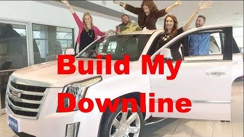 build my downline
