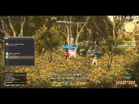 Final Fantasy XIV Online - Elm log Farming Guide