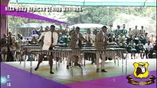 Amai Maria - Tryson Chimbetu by Wise Owl Senior Marimba Band