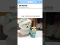 악질이네 #썰쇼츠 #썰#농담곰