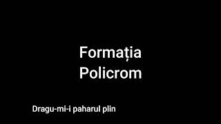 Formatia Policrom-Dragu-mi-i paharul plin(sârbă)