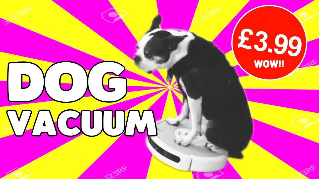 Dog Vacuum YouTube