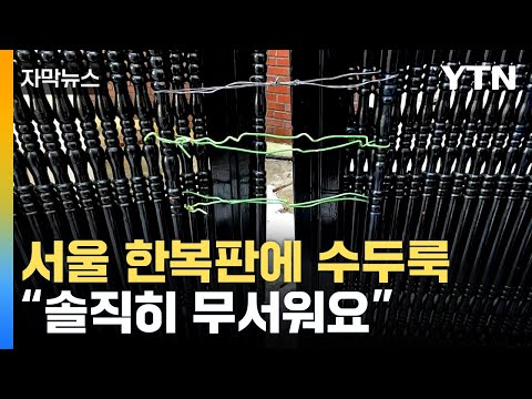   자막뉴스 서울 도심에 무려 2천9백여 호 주민들 불안감 호소 YTN