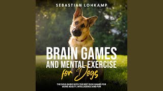 Chapter 16 - Brain Games and Mental Exercise for Dogs: The Dog Guide with the Best Dog Games...