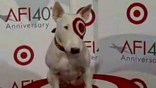 BullsEye The Target Dog At The AFI 40th Anniversary