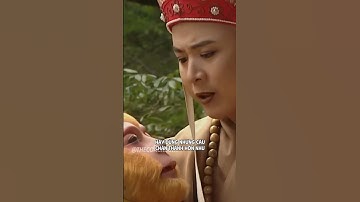 Các cách nói xin lỗi chân thành hơn trong tiếng Anh 🐒 #thecoach #hoctienganh #tayduky