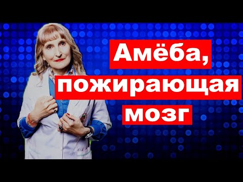 Видео: Как передается амеба?