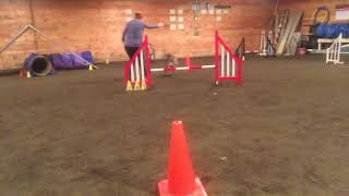 One Jump Work - Jump Cue with Juno