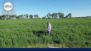 Farmers allege link between popular herbicide paraquat and Parkinson's disease