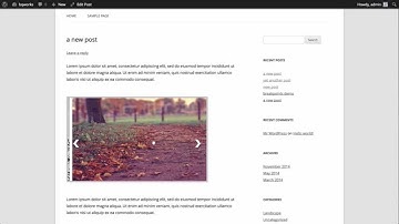 Adding custom CSS in Slider Pro