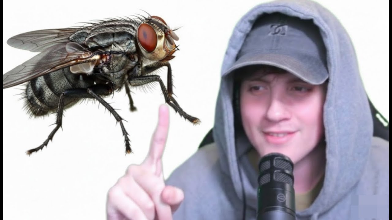 GIANTV y las MOSCAS de la FRUTA