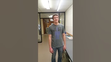 ECE Project 3 - Robotic Bat