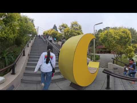 (360VR)20251220 雲霧裡的山城老街 太平雲梯 上梯 Taiping Suspension Bridge 嘉義梅山鄉 高山單跨景觀吊橋 太平三十六彎 insta360 X4
