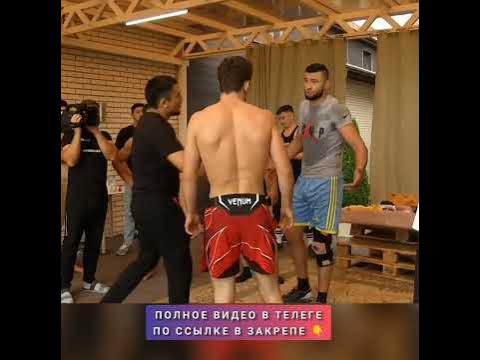 Бой шавхал