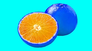 Patterns Inside Fruits and Vegetables Stop-Motion Animation 🥑 🍒 🍉