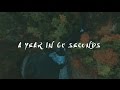 A Year in 60 Seconds | Max Comfort |  2016