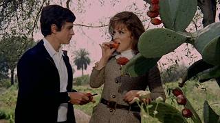 Seduction and Jealousy: That Splendid November | Italian Cinema Classic