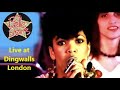 The Belle Stars - Live at Dingwalls, London, 14.05.1981