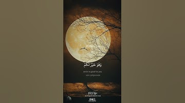 عسى أن تكرهوا شيئا وهو خير لكم #سورة_البقرة #kuranıkerim #مشاري_العفاسي #quran