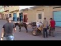 Funny Funny Egyption PranKs Part 2 Funny Funny Egyption PranKs Part 2