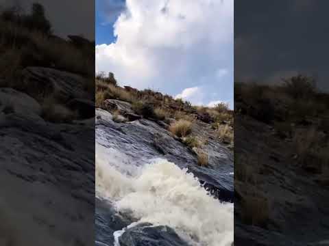عودة نفسي ما اتحسف على شى  لايك على دربك