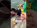 鱼:新鲜货?尝尝! #钓鱼 #邪修 #万万没想到 #空军