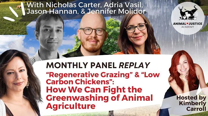 Regenerative Grazing & Low Carbon Chickens: How We Can Fight the Greenwashing of Animal Ag