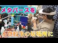 【メタバース】不登校の子どもに〝新たな居場所〟「学校に復帰できた」