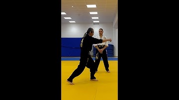 Teaching Beginners Kick Punch Combo on a Shield by Hwa Rang Do® Grandmaster Taejoon Lee