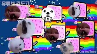 Miniatura de vídeo de "냥냥냥냥냥 ! 냥캣 강아지 리믹스 (Nyan Cat Gabe the dog Remix)"