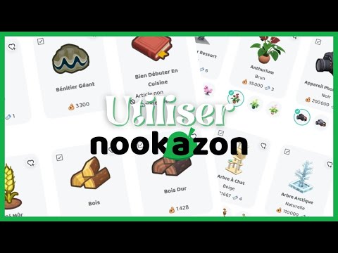 Vidéo: Pourquoi nookazon ne fonctionne pas ?