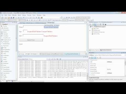 19 - ASP.NET