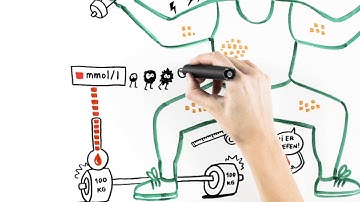 What happens to your blood sugar when you work out?