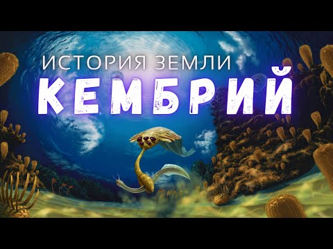Почему это произошло \ Причины кембрийского взрыва \ История Земли @people_and_space