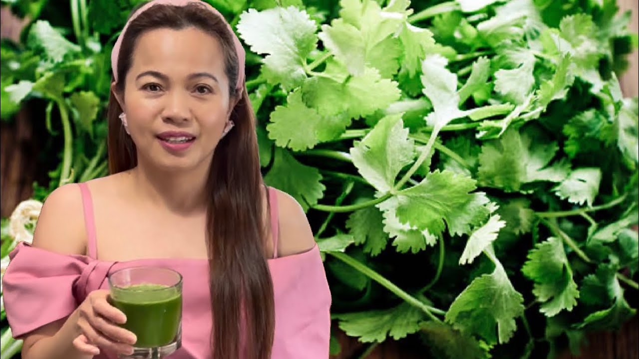 Healthy cilantro juice detox heavy metal from our body YouTube