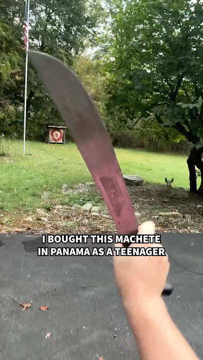 Time to sharpen my machete again #diy #maker  #homestead #machete #sharpen #chopping