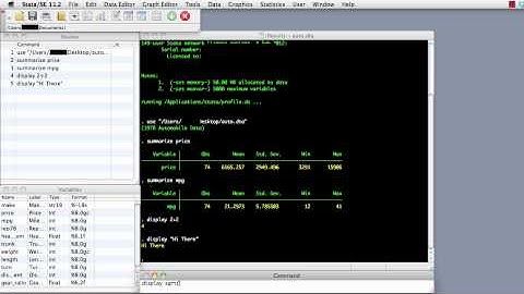 Stata- Introduction to the Interface - Part 1