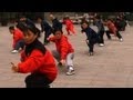 Yang tai chi chuan by empty mind films