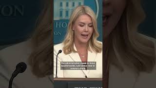 Karoline Leavitt on tariffs