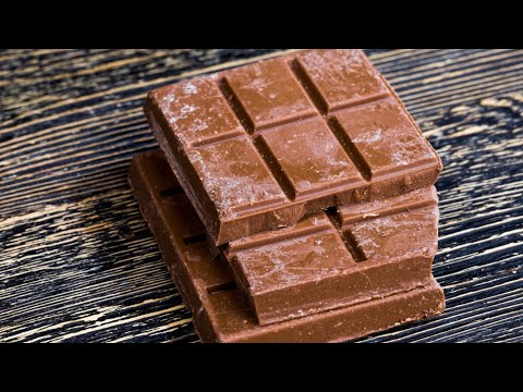 Video: Hvad ser et fuldblodet chokoladelab ud?
