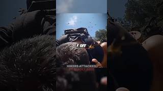 Hikers SWARMED By Bees 🫢