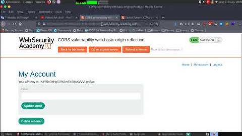 CORS vulnerability with basic origin reflection