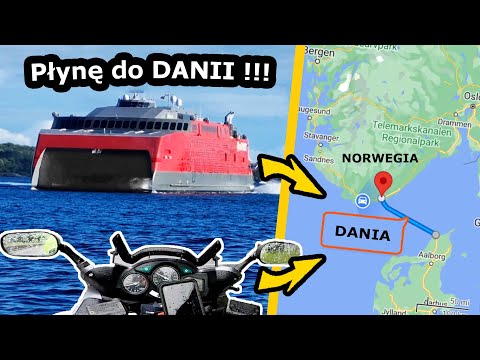 Wideo: Ile kosztuje świerk norweski?