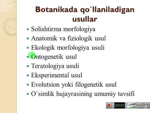 Video: Sitoplazmadagi tolalar tarmog'i nima?