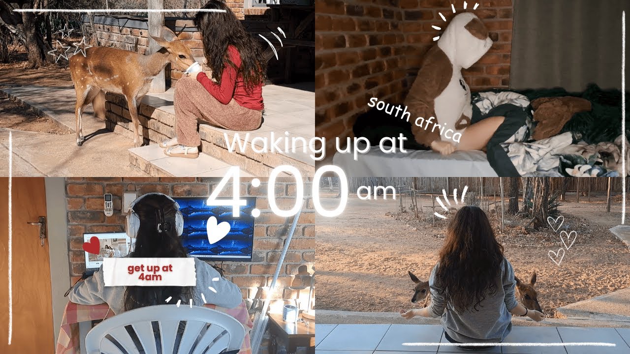 Life in South Africa | morning & night routine as a remote girly, cozy ...